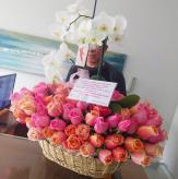 Más información de Jaridín de Rosas y Orquídeas Premium