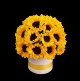 Más información de Box Clásico de Girasoles 24/12