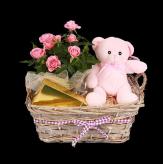 More information about CAJA DE 24 ROSAS ROJAS PREMIUM  ESPECIAL IMPORTADAS
