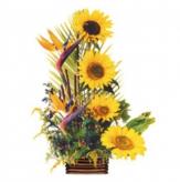 Más información de Arreglo Floral Con Girasoles Eterna Primavera