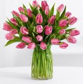Más información de Arreglo de Tulipanes Premium Feliz Día x 25