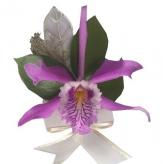 Más información de Orquídea Cattleya