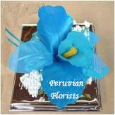 Más información de Orquideas Artificiales
