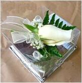 Más información de Caja Con Rosas: Corsage