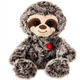 More information about Curious Sloth