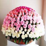 More information about Constelación de Rosas Pastel