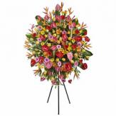 More information about Tripode Multicolor Premium