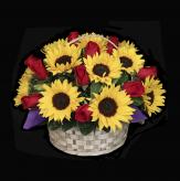 More information about Campestre Rosas y Girasoles