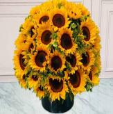 More information about Girasoles Premium MARSELLA