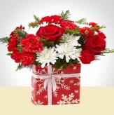 More information about Alegre Navidad