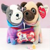 More information about Pug Dog Couple