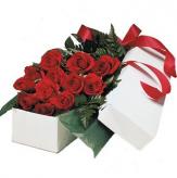 Más información de Caja de 12 Rosas Premium