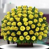 More information about ESPLENDOR DE ROSAS YELLOW DELUXE