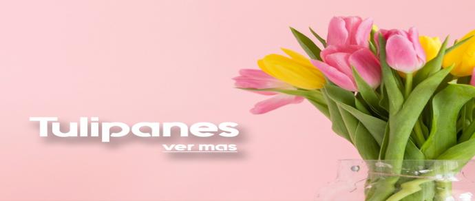 TULIPANES 2